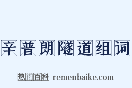 辛普朗隧道组词是什么意思的图片